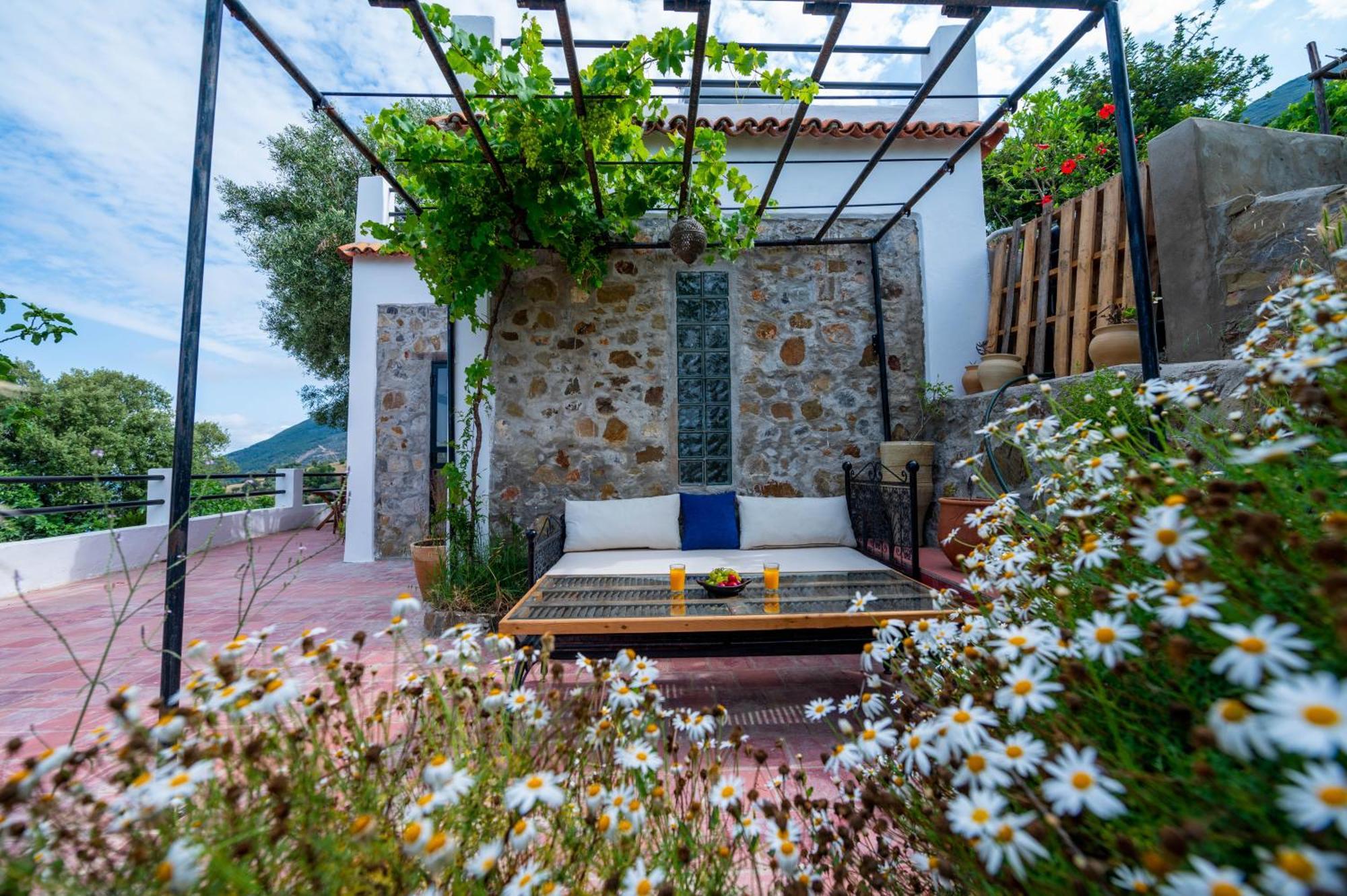 Farm Finn Chefchaouen Exterior photo